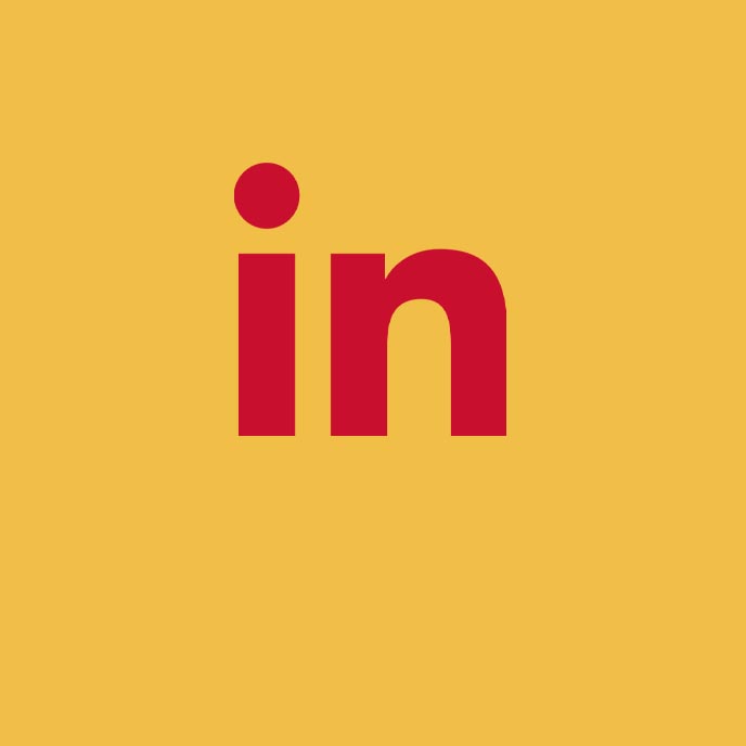 Linked in icon