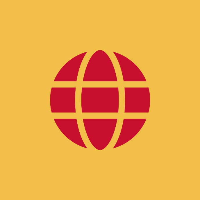 Globe icon